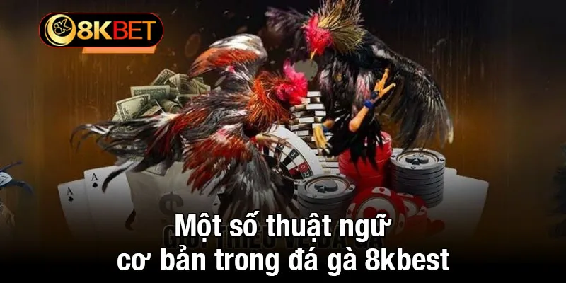 Một số thuật ngữ cơ bản trong đá gà 8kbet