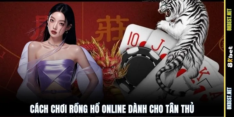 Cách chơi Rồng Hổ online dành cho tân thủ