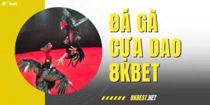 Danh Sách 5 Sư Kê Đá Gà Cựa Dao Nổi Tiếng Nhất Việt Nam