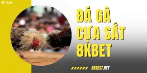 Trải Nghiệm Đá Gà Cựa Sắt Mãn Nhãn Với Tỷ Lệ Thưởng Khủng