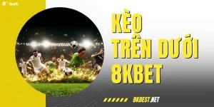 Cách Đọc Kèo Trên Dưới Cực Chuẩn, Tăng Cơ Hội Thắng Tới 90%