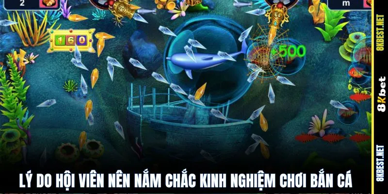 Lý do hội viên nên nắm chắc kinh nghiệm chơi bắn cá