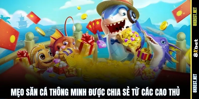 Mẹo săn cá thông minh được chia sẻ từ các cao thủ