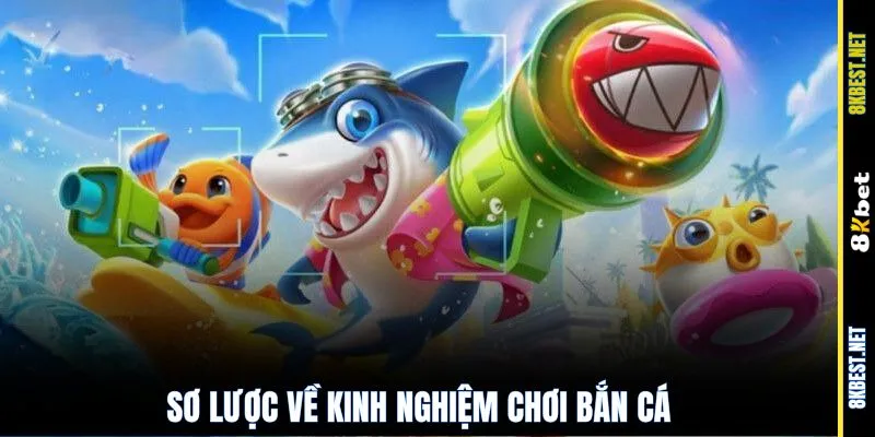 Định nghĩa chung về kinh nghiệm chơi bắn cá