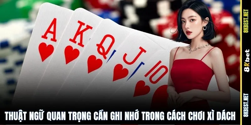 Thuật ngữ quan trọng cần ghi nhớ trong cách chơi Xì Dách