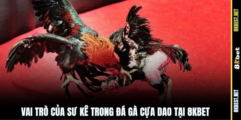 Vai trò của sư kê trong đá gà cựa dao tại 8KBET